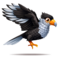 compagnon-pinata-caracara.png