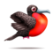 compagnon-pinata-magnificent-frigate-bird.png