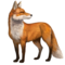 compagnon-renard.png