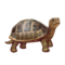 compagnon-tortue.png