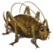 compagnon-weta.png