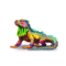 companion-iguane-1.png